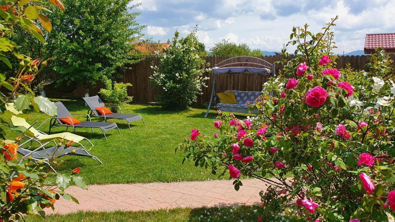 Prejmer Jasmine Residence מראה חיצוני תמונה